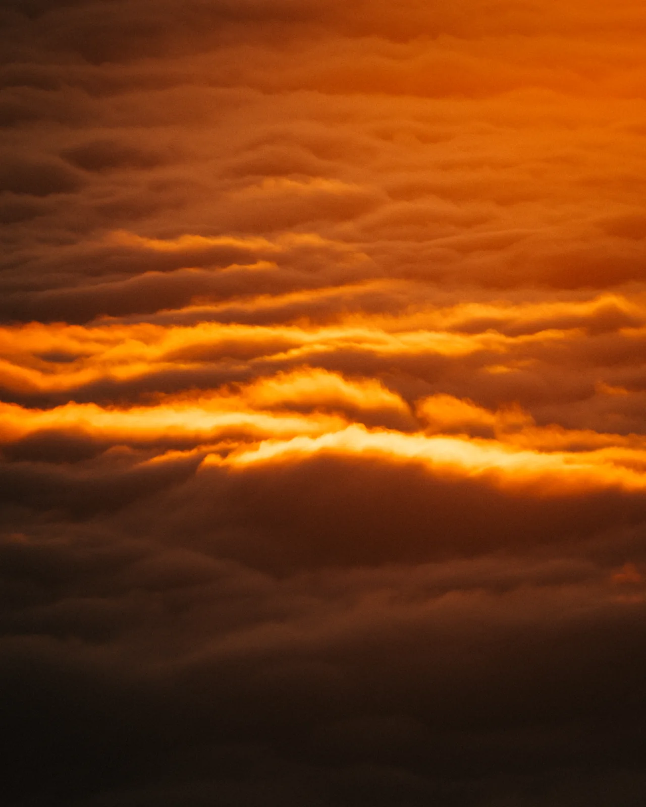 Landschaft – Foto 22 von Thomas Leuthard